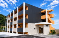 ���C�v���~�l���X